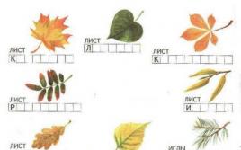 L'importance de la chute des feuilles dans la vie végétale
