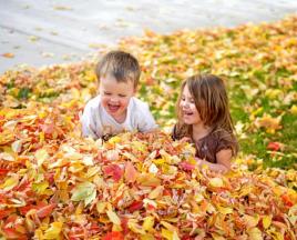 Dikter om hösten: korta och vackra dikter om hösten för förskolebarn